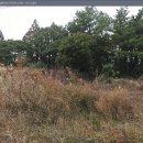 수산리-8 이미지