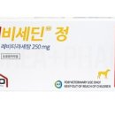 김해정약국 네이버블로그