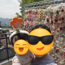 캐슬안경 | 부암동 롯데캐슬 라센트 입주민을 위한 특별한 하루, 아이들과 함께 즐기는 캐슬링페스티벌 생생후기