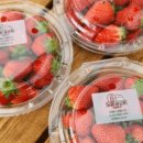 작소농장 이미지