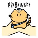 제주가는날