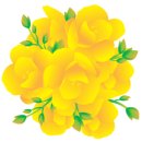 지솔블러썸 (Jisol blossom)