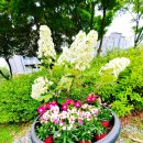 한솔뜰근린공원 이미지