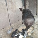 우경농장 이미지