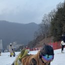 미림파크 이미지