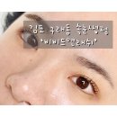 비비드앤래쉬 네이버블로그
