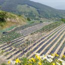 수토산방 이미지