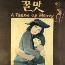 그레이스 Grace 美