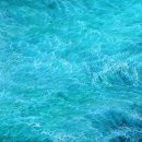 파도회관 이미지