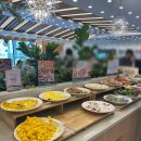 대전갈마유치원 | 대전 갈마동 샤브올데이 캐치테이블 예약 꿀팁 + 육아맘 시선 솔직후기