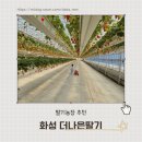 두화농장2 | 화성 딸기체험 농장 더나은딸기 26개월 아이 후기 가격 주차 정리