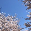 동산마을구립주차장 네이버블로그