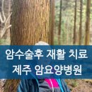 구미숲요양병원 | 유방암 수술 후 재활 치료｜제주 암요양병원 드림힐 후기