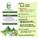 쉘터462 | 김해 캠핑장 신어산 자연숲 캠핑장 꽃4 사이트 추천