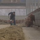 영수한우농장 이미지