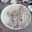 동성자연산횟집 | 경북 영덕 현지인들이 찾는 자연산 횟집 “동성 자연산 횟집” | 모듬회특대(내돈내산)