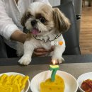 꾸메까까 이미지