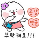 피부(PIBOO) 네이버블로그