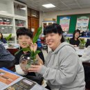 사랑유치원 | 학부모회 가족체험 대박난 아쿠아테라리움 수업 (양주 회정초등학교 후기)
