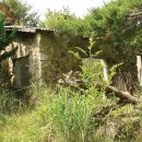 장산목장 이미지