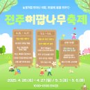 덕진-53 | 전주 이팝나무 철길 주차 및 철길 개방시간 포토존 가이드