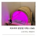 분당-40 | 분당 다이어트 리프리다 분당점, 디톡스EMS 40분 체험 후기