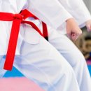 고구려 태권도 이미지