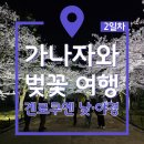 히로마쓰모토 | 일본 가나자와 벚꽃 여행 2일차｜겐로쿠엔 낮·야경·사무라이 거리·우타쓰산 전망 코스