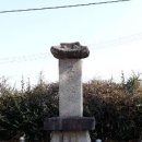 박사리 이미지