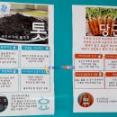 바나나 | 제주시 구좌맛집 하도리요리사무소 제주포케 제주톳 구좌당근 제주메밀 전복 문어요리 제주도여행