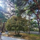 한산도 제승당 이미지