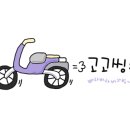 박가네 명동빈대떡 이미지