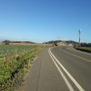 상모리-3 이미지