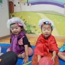 (주)소꿉 Daum카페