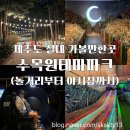 제주도아이랑가볼만한곳 제주도실내가볼만한곳 수목원테마파크 놀거리부터 야시장까지 총정리(내돈내산)