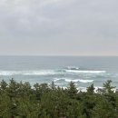 파인더블 이미지