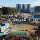 대포초등학교 이미지