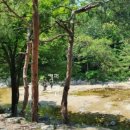 금강송통나무황토집 이미지