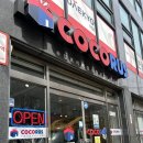 코코러스 이미지