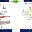 나온의원 이미지