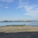 아라메길 (삼길나루길-벚꽃길) 이미지