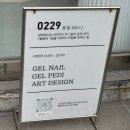 0229 윤일