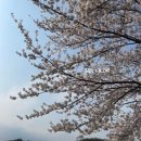 황새울교 앞 네이버블로그