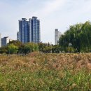 상동호수공원 이미지