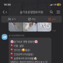 슬기로운 댕댕 유치원 이미지