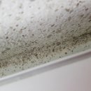 중앙구로하이츠 이미지