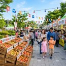 지하철체육공원역 | 2026년 대저 토마토 축제 일정 및 후기 주차 꿀팁 총정리