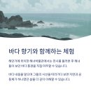 잠수바다내음
