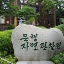 "성남시 가볼만한곳"~도심속 푸른공원 "성남시립식물원" 이미지