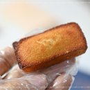 별빛백도 이미지